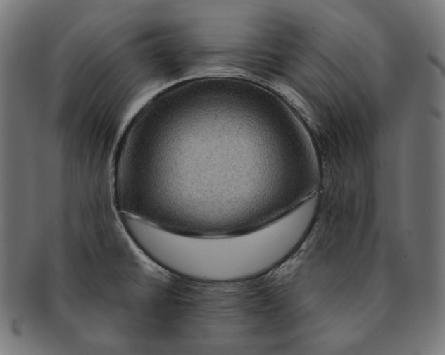 X0000091711430200709210933