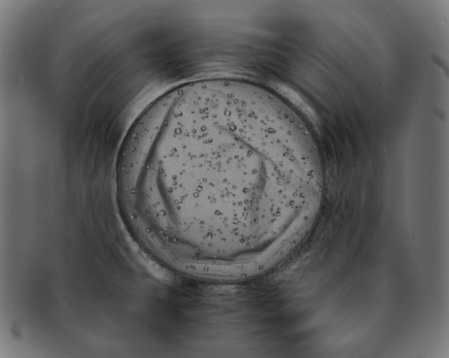 X0000091711431200709210933