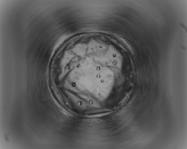 X0000091711432200709210933