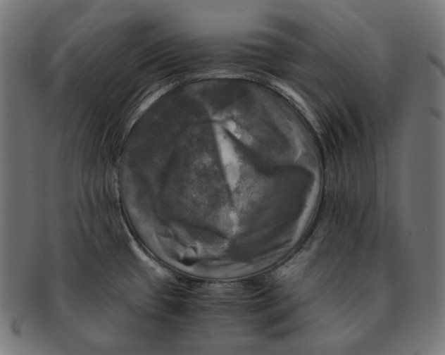 X0000091711433200709210933