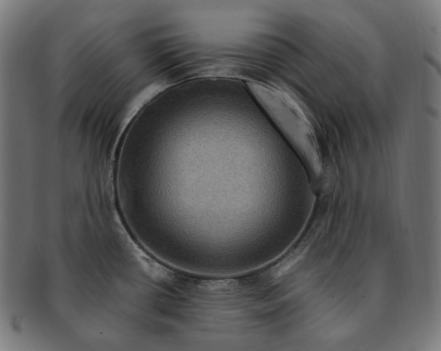 X0000091711434200709210933