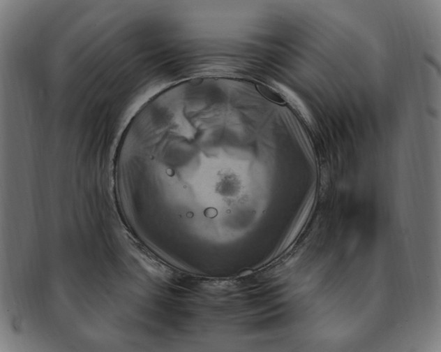 X0000091711435200709210933