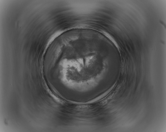 X0000091711437200709210933