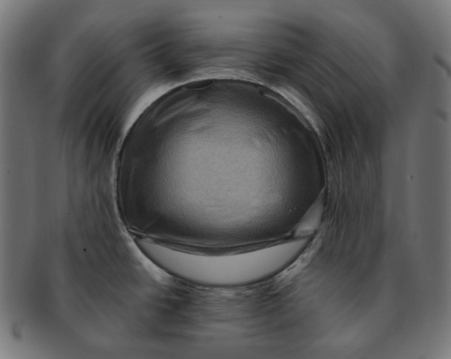 X0000091711438200709210933