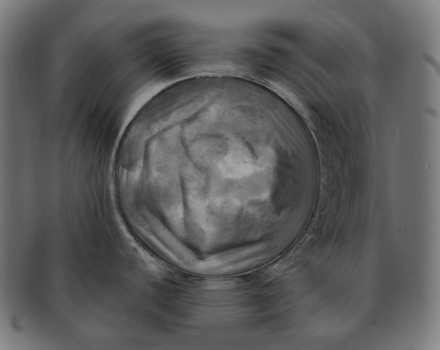 X0000091711440200709210933