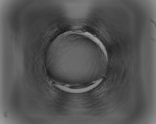 X0000091711441200709210933