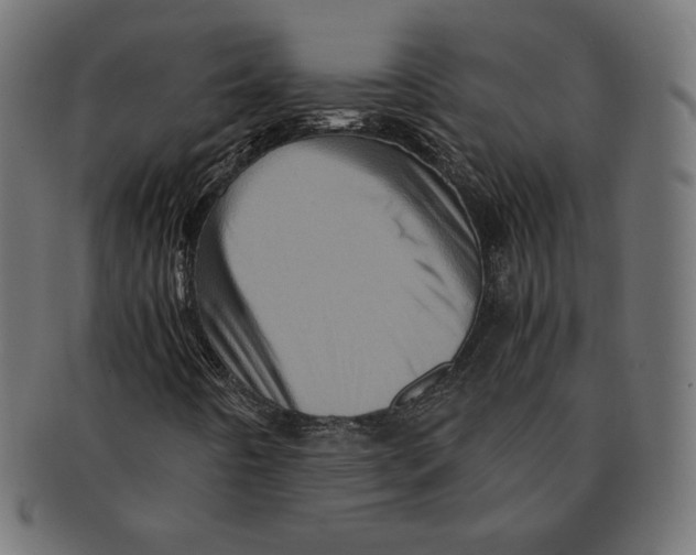 X0000091711442200709210933