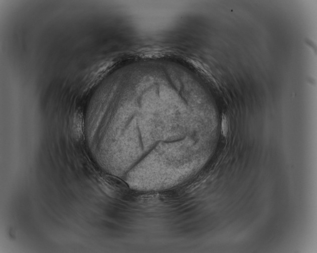 X0000091711444200709210933