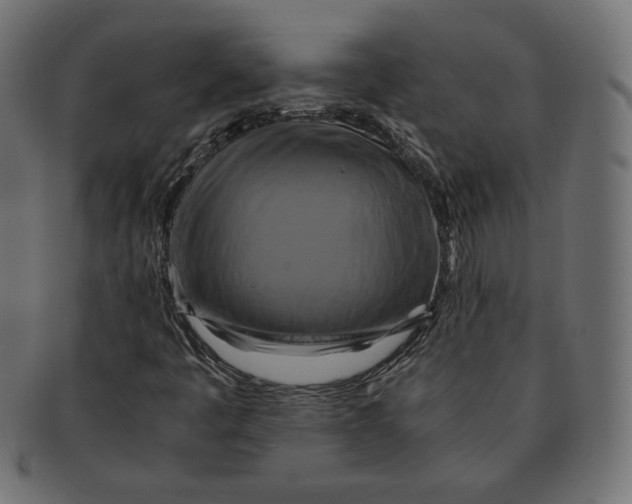 X0000091711445200709210933