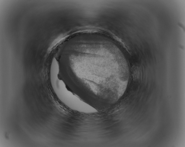 X0000091711448200709210933