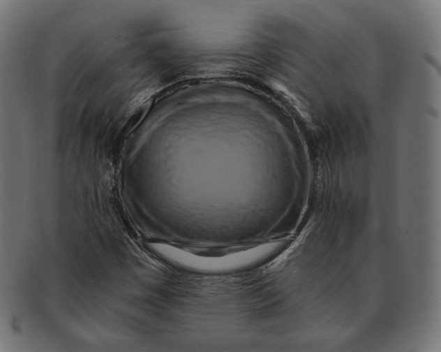 X0000091711449200709210933