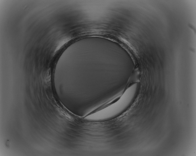 X0000091711450200709210933