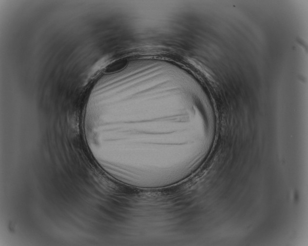 X0000091711451200709210933