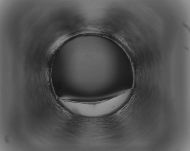 X0000091711455200709210932