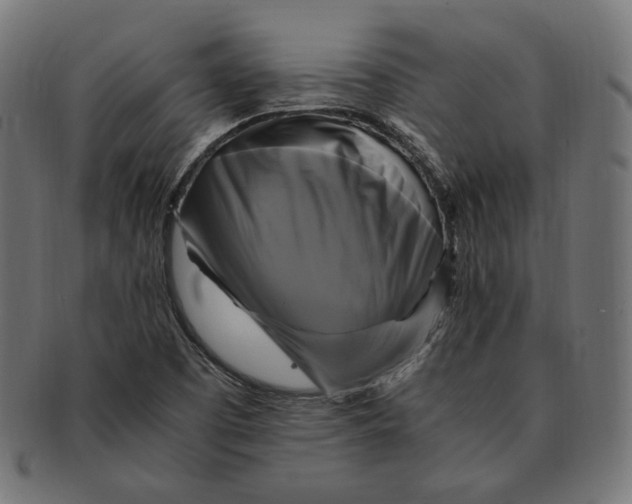 X0000091711457200709210932