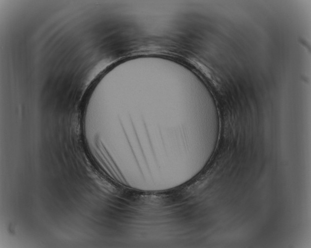 X0000091711458200709210932