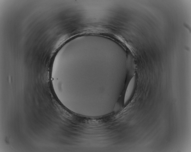 X0000091711459200709210932