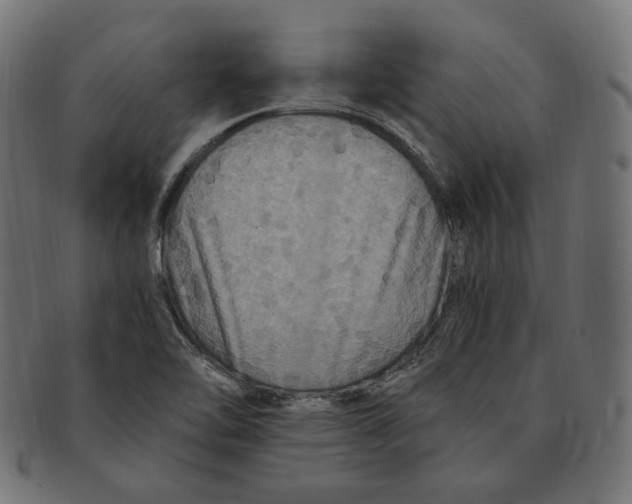 X0000091711462200709210932