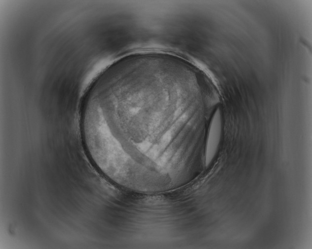 X0000091711464200709210932