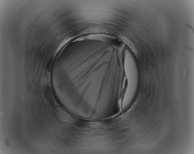 X0000091711465200709210932