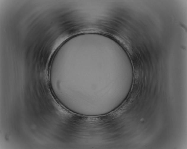 X0000091711466200709210932