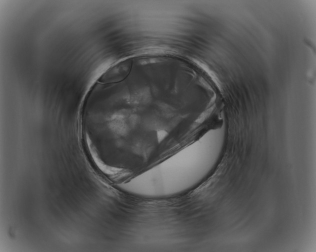 X0000091711467200709210932