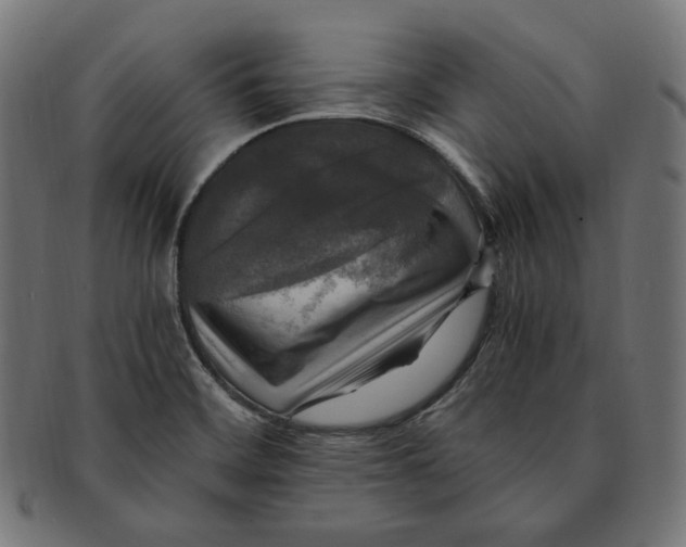 X0000091711468200709210932