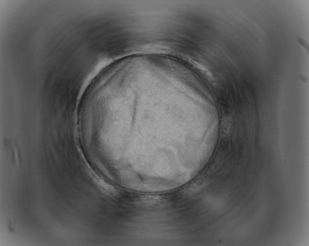 X0000091711470200709210932