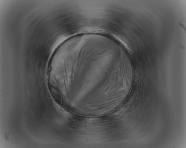 X0000091711471200709210932