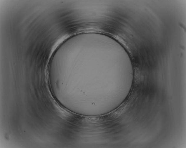 X0000091711474200709210932