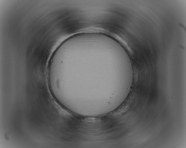 X0000091711478200709210932