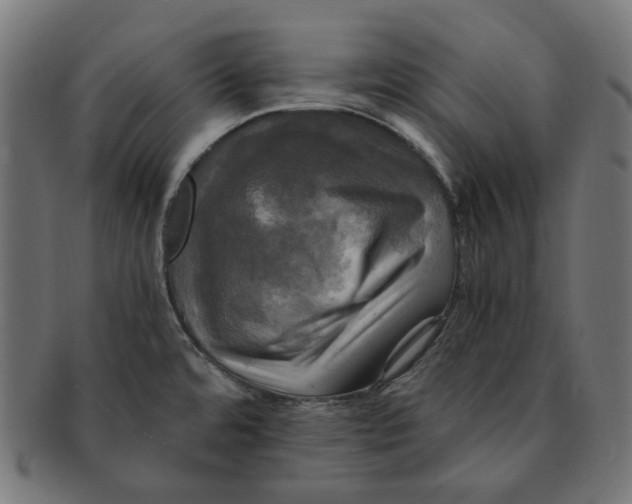 X0000091711480200709210932