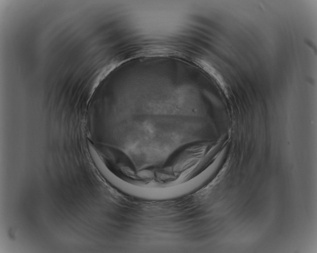 X0000091711481200709210932