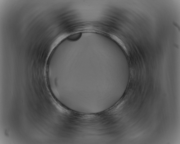 X0000091711482200709210932