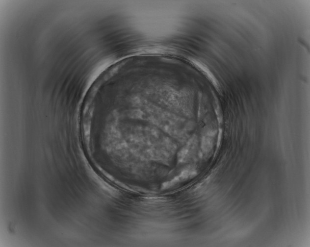 X0000091711483200709210932