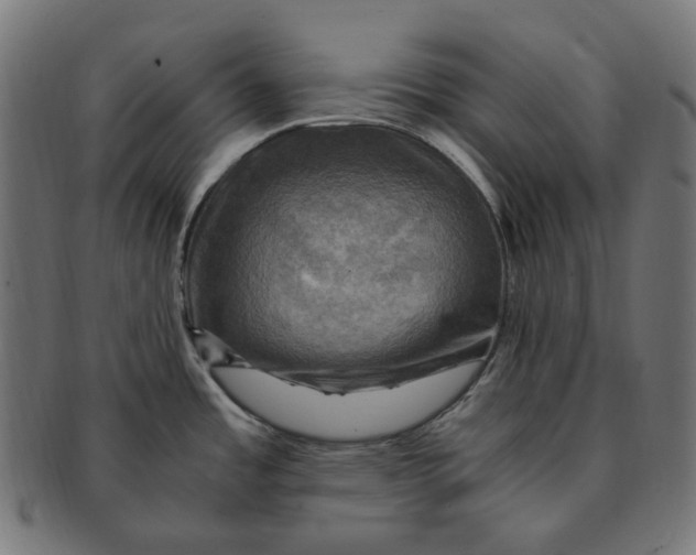 X0000091711485200709210932