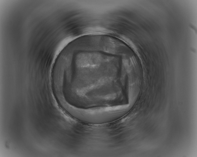 X0000091711488200709210932