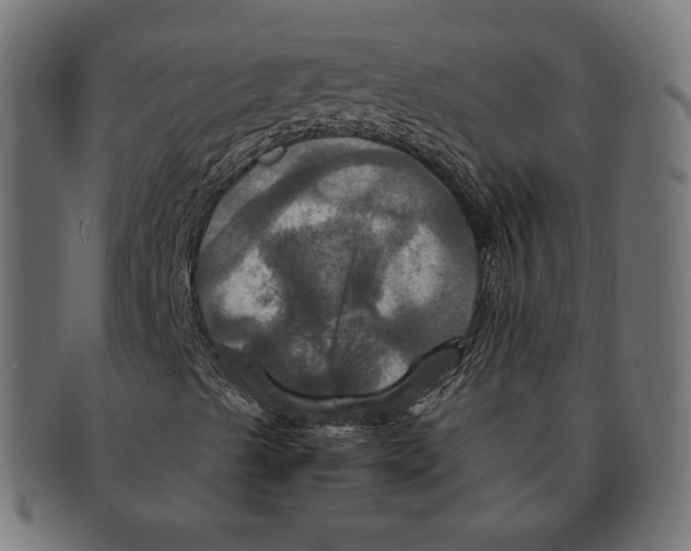 X0000091711489200709210931