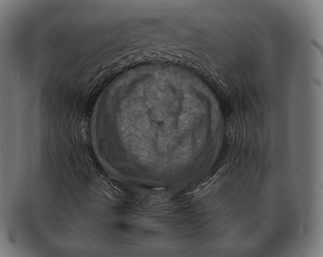 X0000091711490200709210931