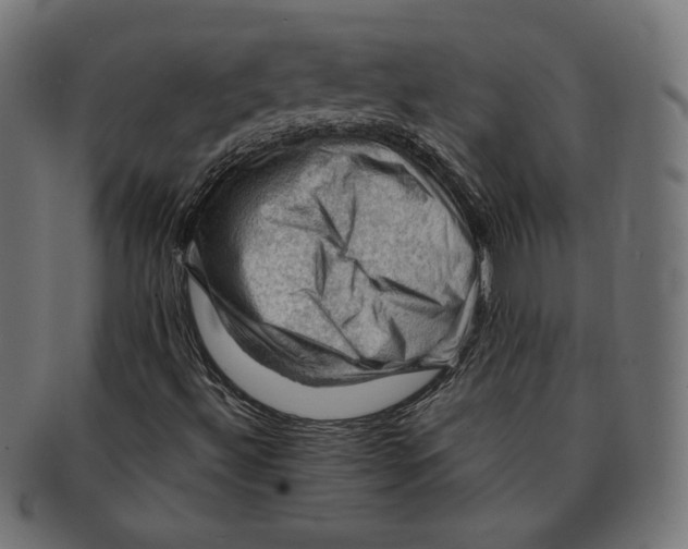 X0000091711492200709210931