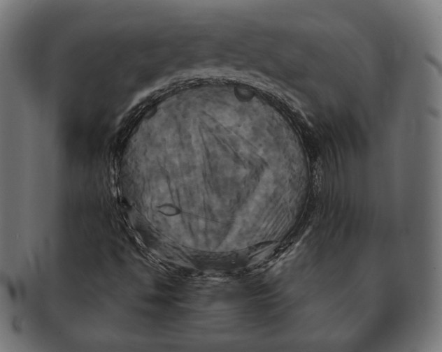 X0000091711494200709210931