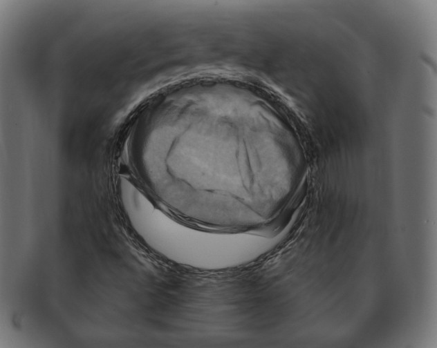 X0000091711496200709210931