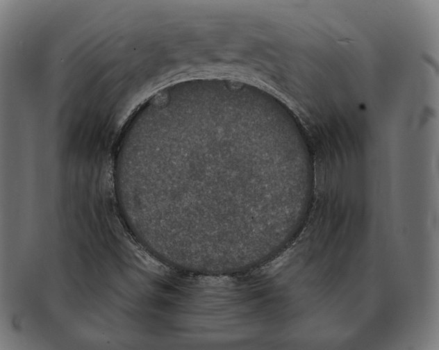 X0000091711498200709210931