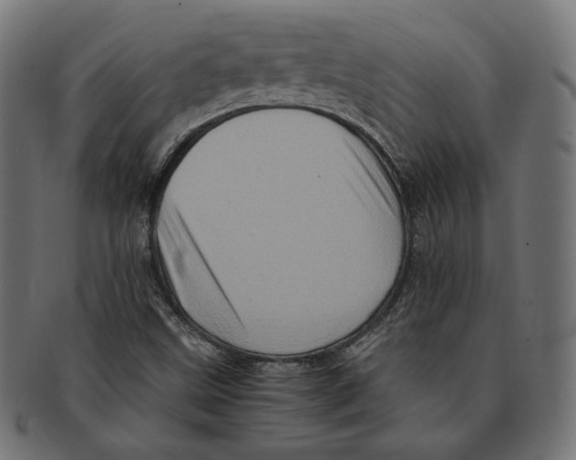 X0000091711499200709210931