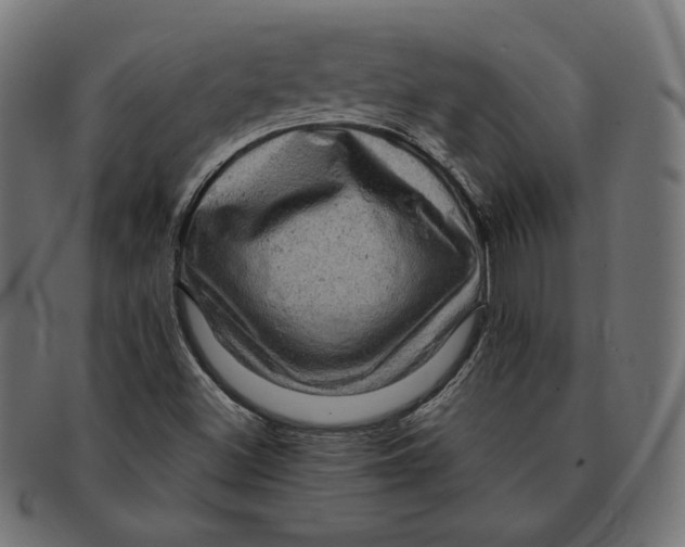 X0000091711500200709210931