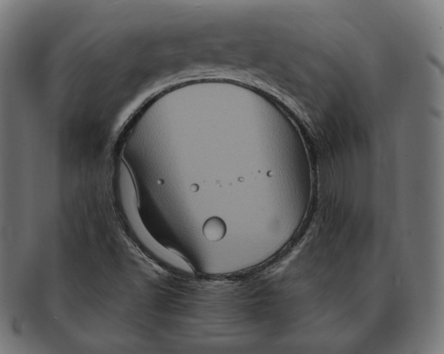 X0000091711502200709210932