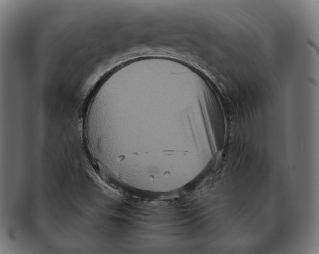 X0000091711503200709210932