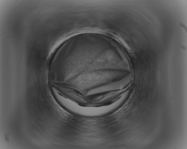 X0000091711504200709210932