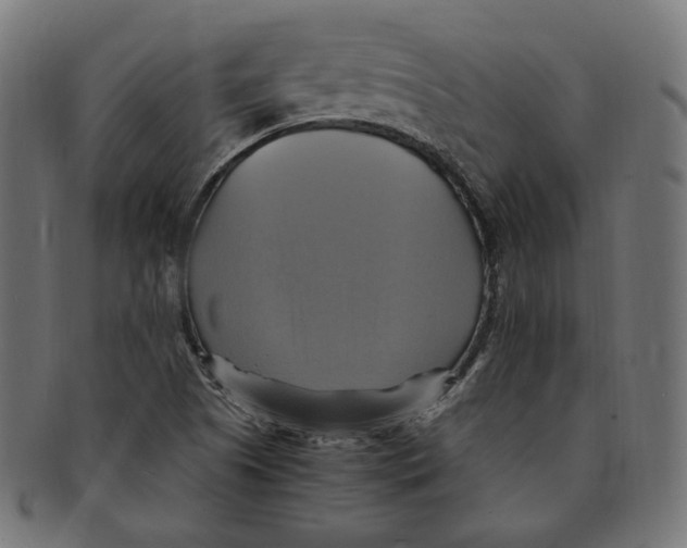 X0000091711505200709210932