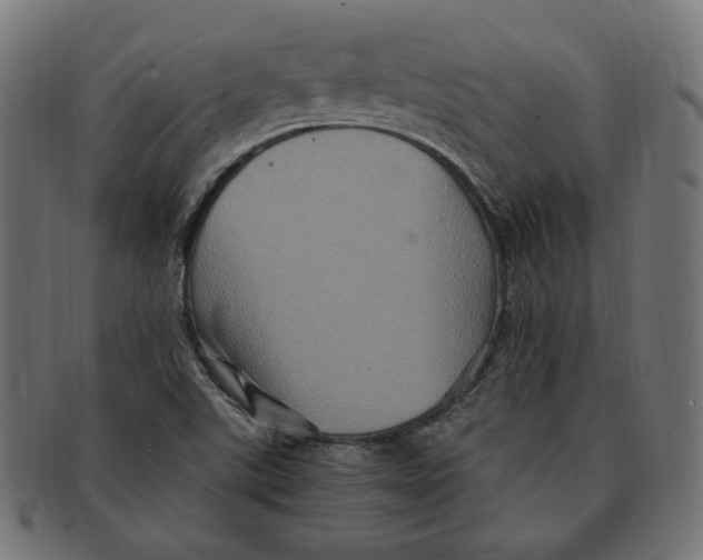 X0000091711507200709210932